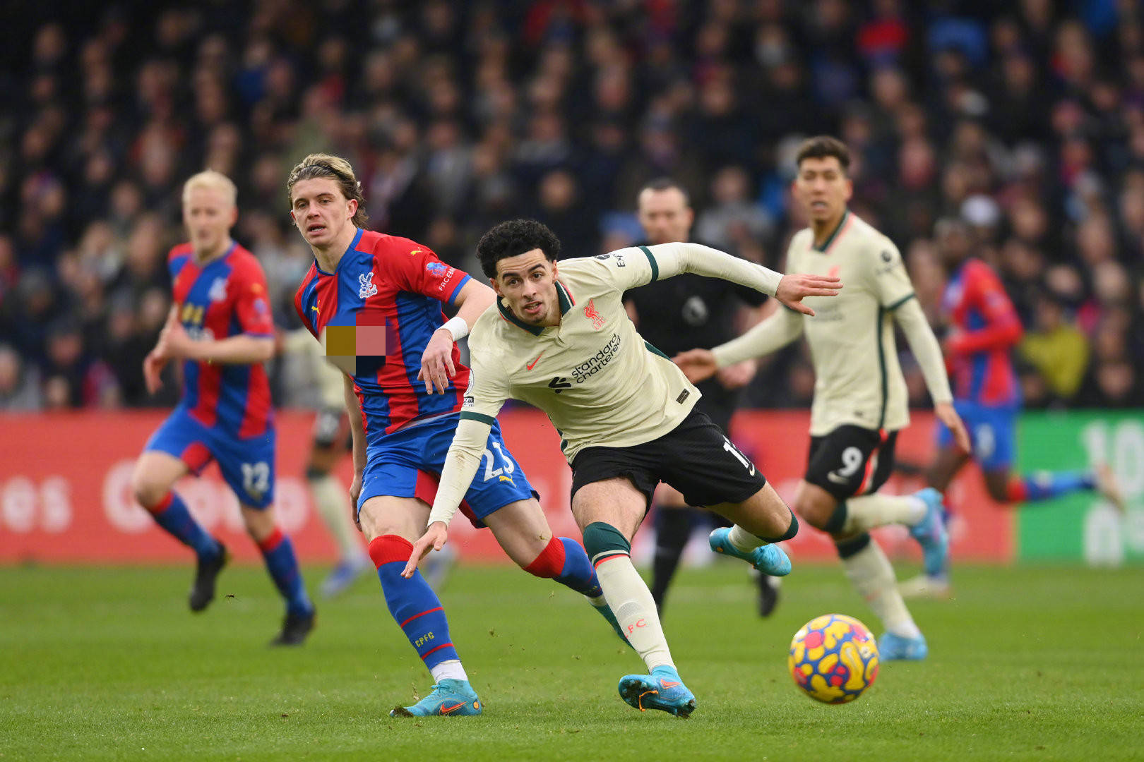 为大家揭示 为大家揭示